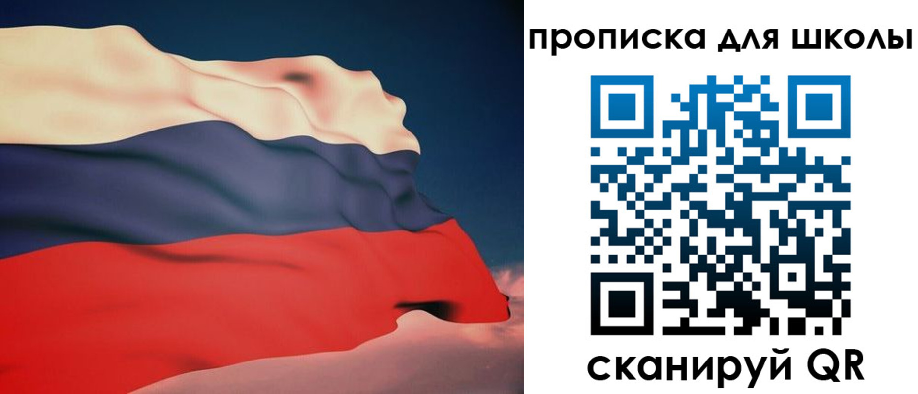 временная регистрация поиск в Новгородской области